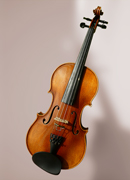 geigenunterricht bei michaela köpf in stadecken-elsheim